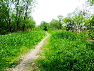Fototapeta premium 春の河川敷風景