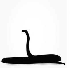 snake silhouette