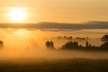 Fototapeta na wymiar Picturesque misty sunrise landscape. Foggy morning meadow,