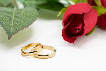 Wedding rings and artificial rose on white background