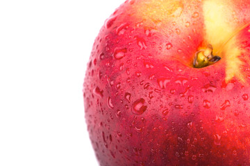 Fruit nectarine closeup