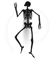 skeleton silhouette in prone pose