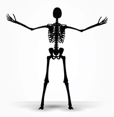 skeleton silhouette in power pose