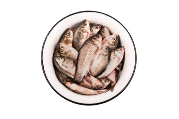 Crucian carp in a bowl
