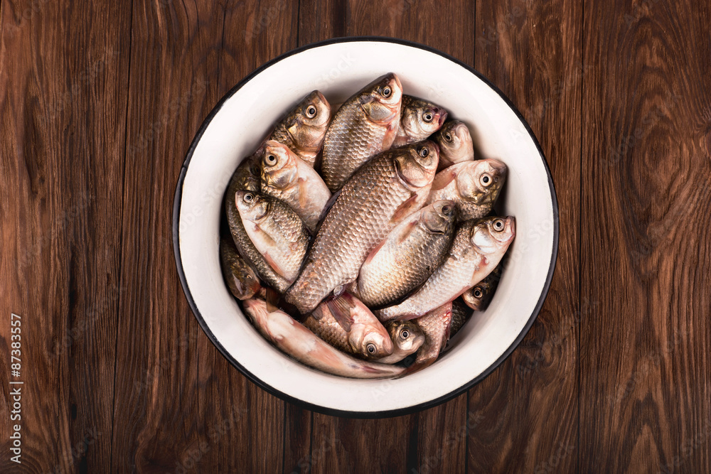 Wall mural crucian carp in a bowl