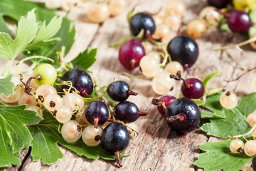 Black and white currant with leaves on old wooden background, se