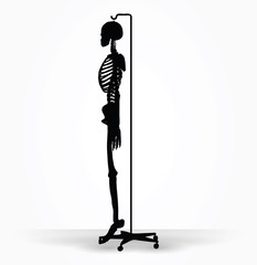 skeleton silhouette in default pose