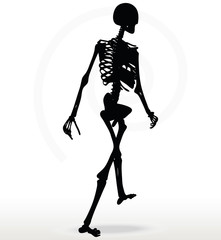 skeleton silhouette in walk