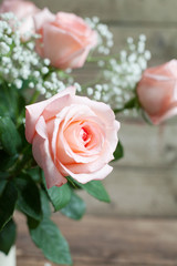 Still life: pink roses and gypsophila paniculata in a vase 