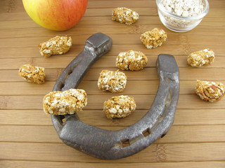 Selbstgemachte Pferdeleckerlis mit Haferflocken und Apfel