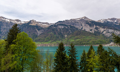 Fototapeta na wymiar Brienz Lake, Interlaken region in Switzerland