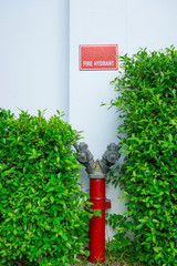 Fire hydrant header between plant bush
