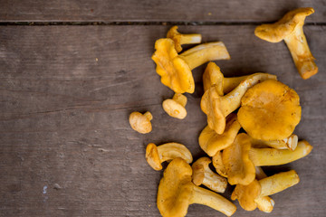 Fresh chanterelle mushrooms on wooden background with copyspace