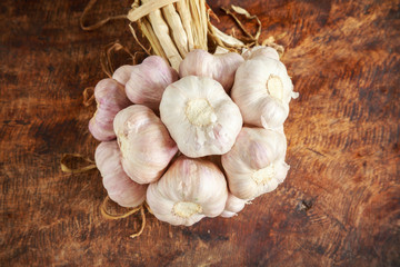 Garlic organic on wooden background