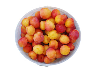 Bucket of organic plums