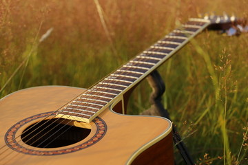 Gitarre im Gras