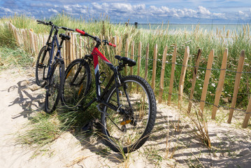 Obraz premium Mountainbike Tour