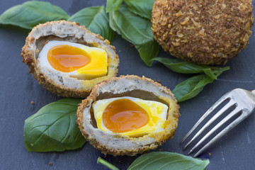 Scotch egg