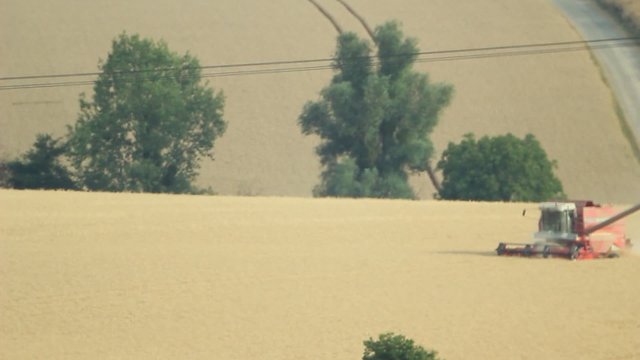 Agriculture