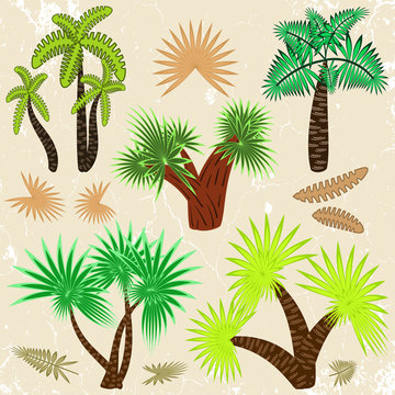 a set of palm trees and palm leaves in the style of cartoon