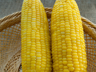 corn boil