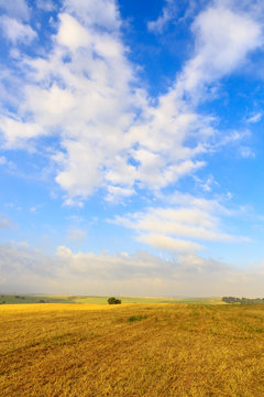 Clouds above tranquil field of harvested wheat