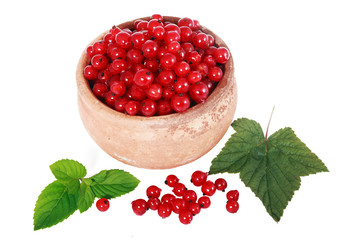 Red currants in a pot and scattered berries with leaves