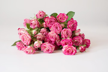 Bouquet of pink roses