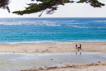 Fototapeta na wymiar People walking at beach in Carmel-by-the-Sea, California