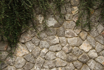 Stone wall with vegetation - texture