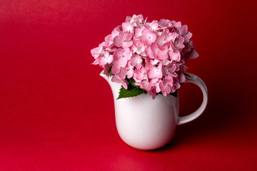 still life of sweet  hydrangea flowers in white vase on red back