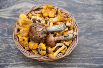 Mushrooms in a basket