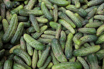 France. Étalage de cornichons, marché de St Antonin Noble Val