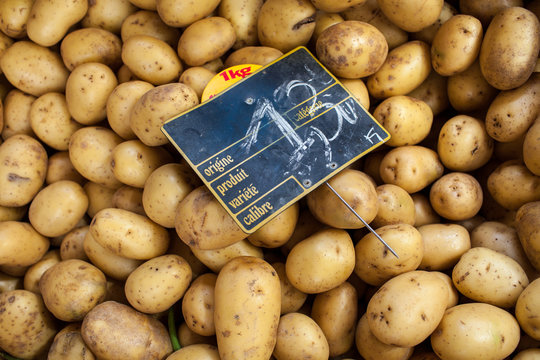 France. &Eacute;talage de pommes de terres charlottes, march&eacute; de St Antonin Noble Val