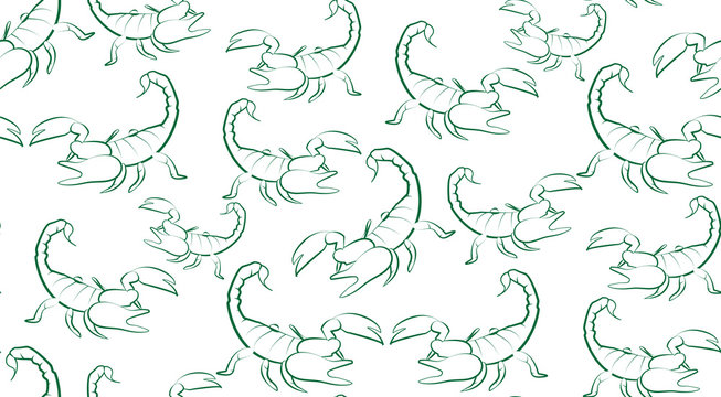 Vector seamless background of contours Scorpions on a white background. Pattern of randomly distributed Scorpions.