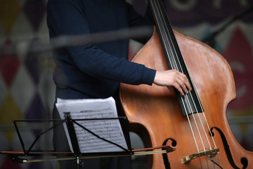 Musian's fingers on a contrabass strings - obrazy, fototapety, plakaty
