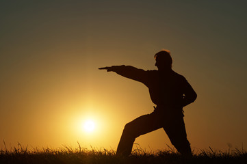 Silhouette of man in karate exercises on a grassy horizon at sunset.