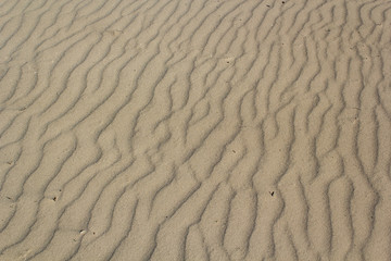 Sand Textur