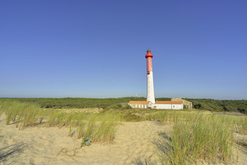Le Phare de la Coubre sur les dunes &agrave; La Tremblade (17390), d&eacute;partement de la Charente-Maritime en r&eacute;gion Nouvelle-Aquitaine, France