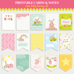 Fototapeta na wymiar Baby Bunny Card Set - for birthday, baby shower, party, design 