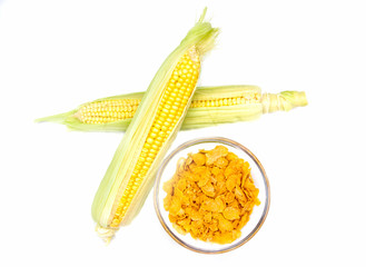Grains of corn on a white background seen from above