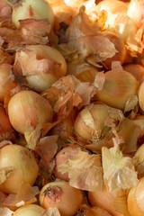 a crop of onions at the farmers market