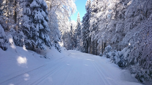 Fototapeta Winter landscape in mountains