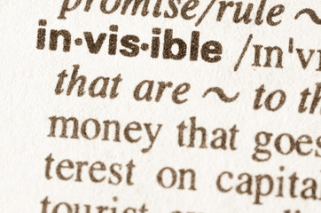Dictionary definition of word invisible