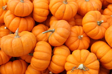 mini pumpkin pile - 87403362