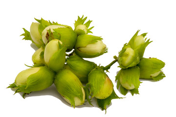 green hazelnut isolated on the white background