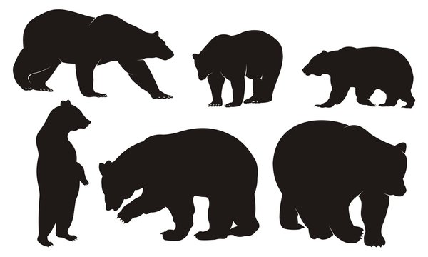 illustration with bear silhouettes isolated on white background