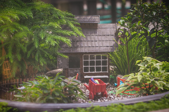 Tiny house in planter