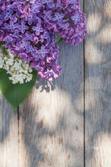 Colorful lilac flowers on garden table