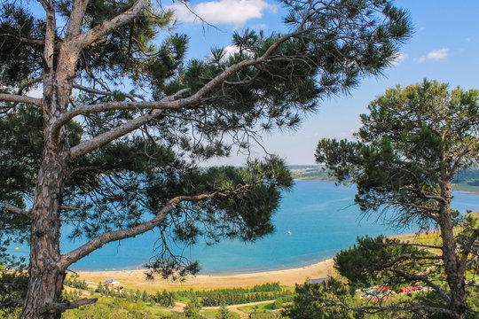 Tbilisi sea coast through the trees